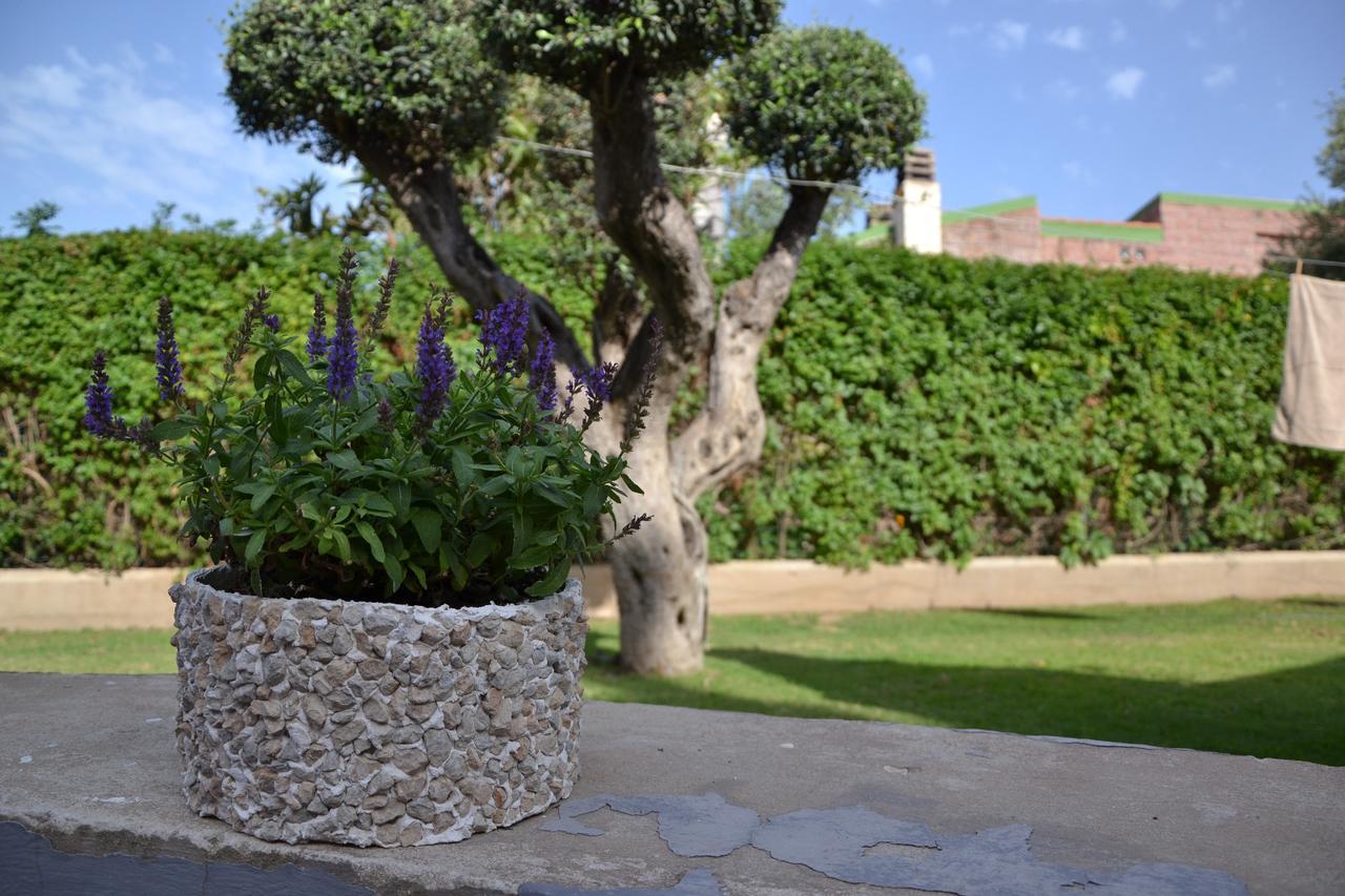Villa Rosanna Capoterra Exterior foto